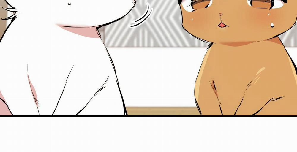 Đàn Thỏ Của Habibi 36 trang 81