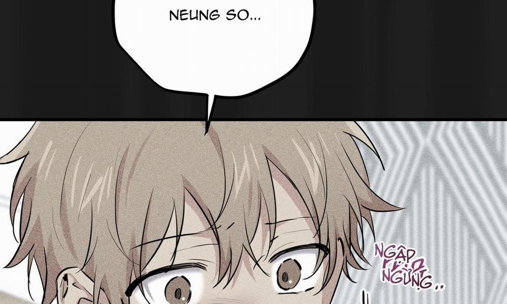 Đàn Thỏ Của Habibi 37 trang 11