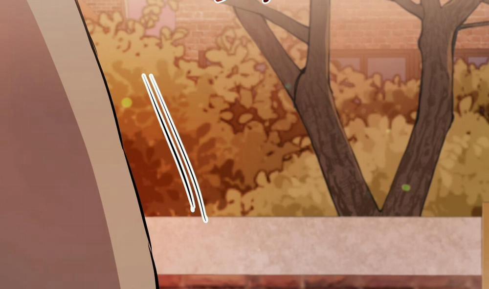 Đàn Thỏ Của Habibi 37 trang 114