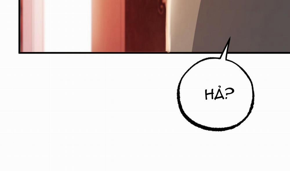 Đàn Thỏ Của Habibi 37 trang 131