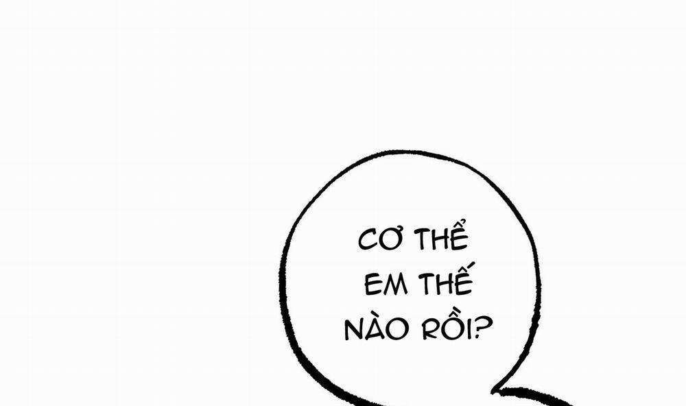 Đàn Thỏ Của Habibi 37 trang 137