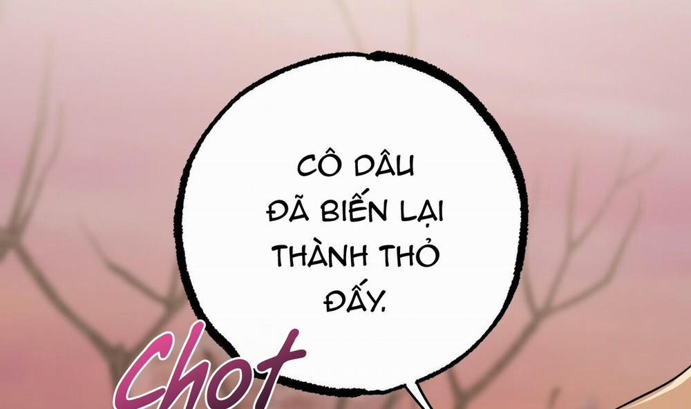 Đàn Thỏ Của Habibi 37 trang 152