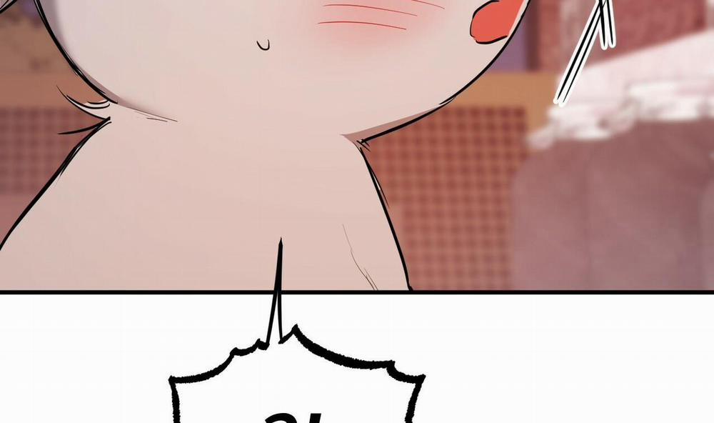 Đàn Thỏ Của Habibi 37 trang 154