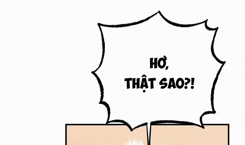 Đàn Thỏ Của Habibi 37 trang 156