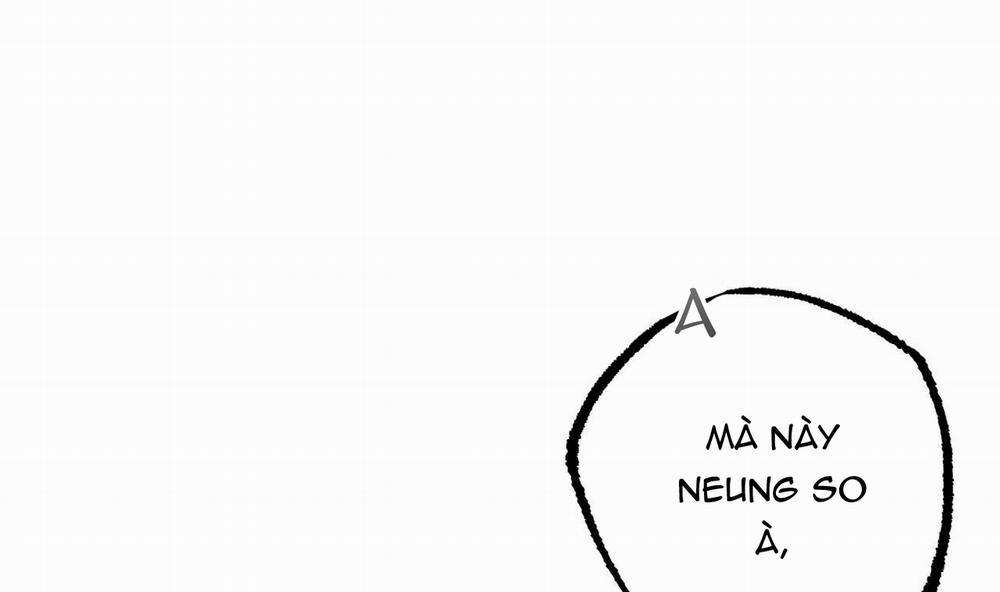 Đàn Thỏ Của Habibi 37 trang 164