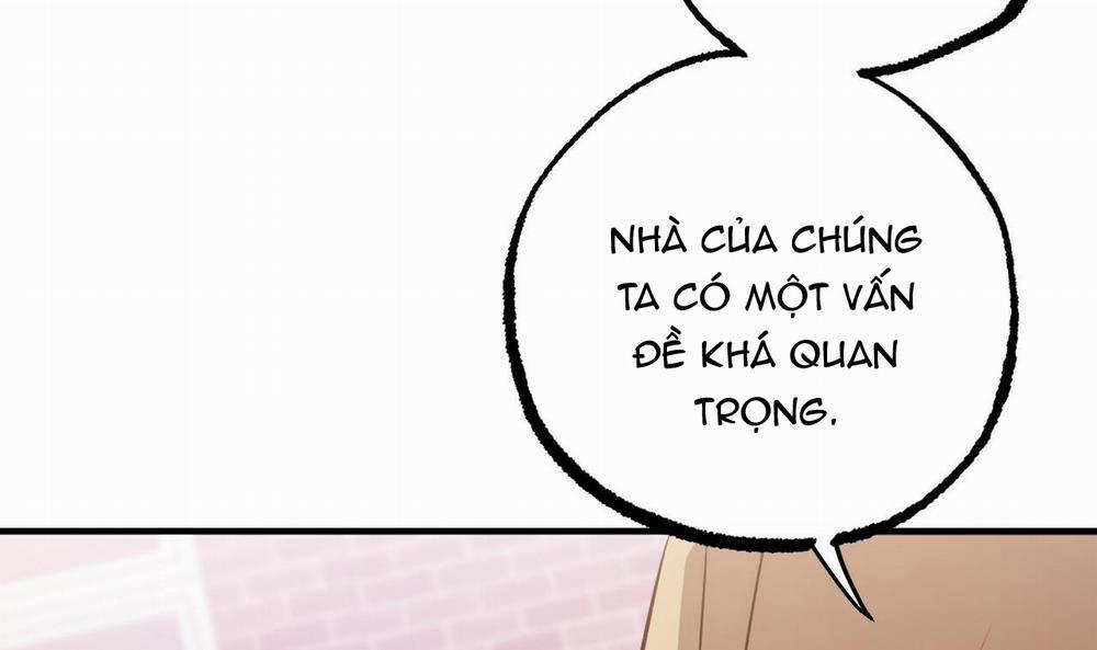 Đàn Thỏ Của Habibi 37 trang 165