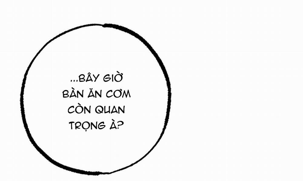 Đàn Thỏ Của Habibi 37 trang 177