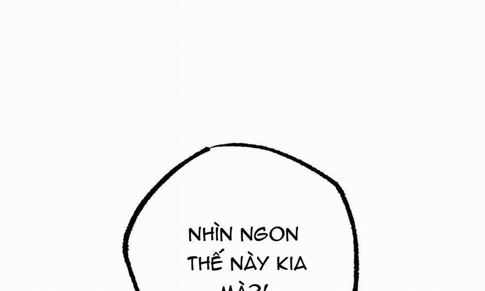 Đàn Thỏ Của Habibi 37 trang 179