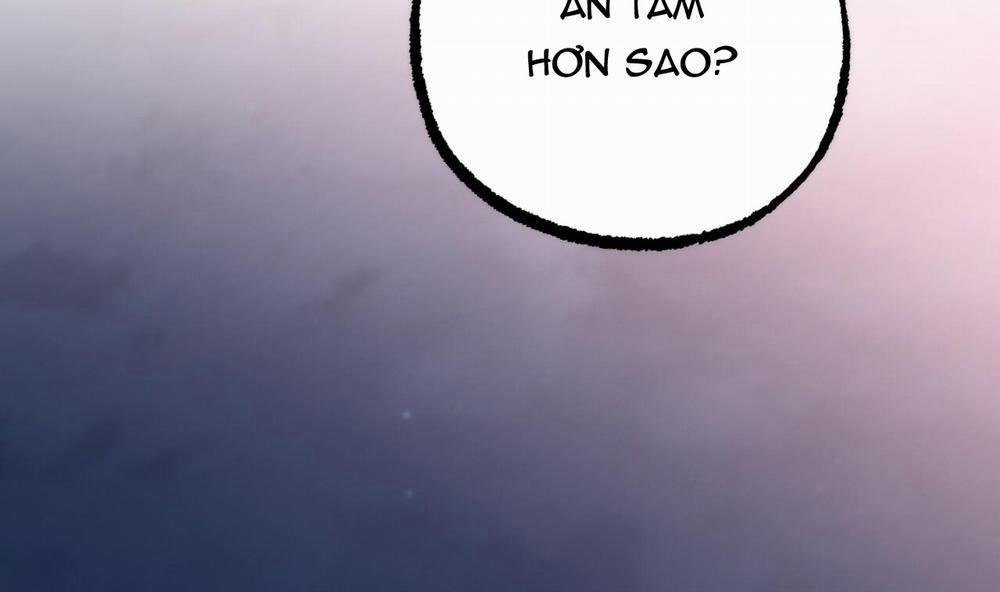 Đàn Thỏ Của Habibi 37 trang 239