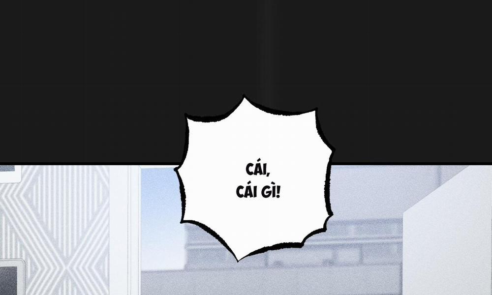 Đàn Thỏ Của Habibi 37 trang 24