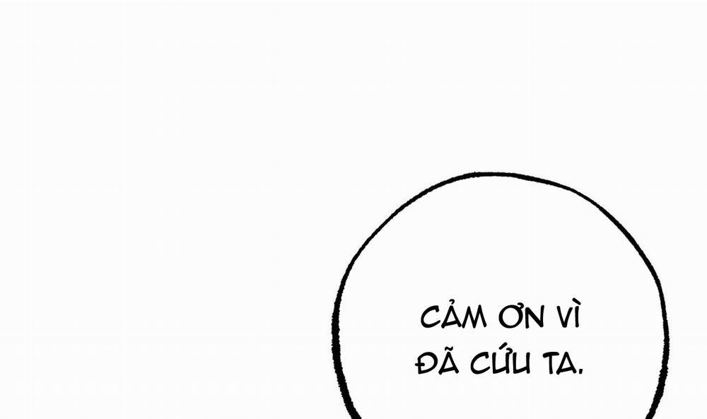 Đàn Thỏ Của Habibi 37 trang 246