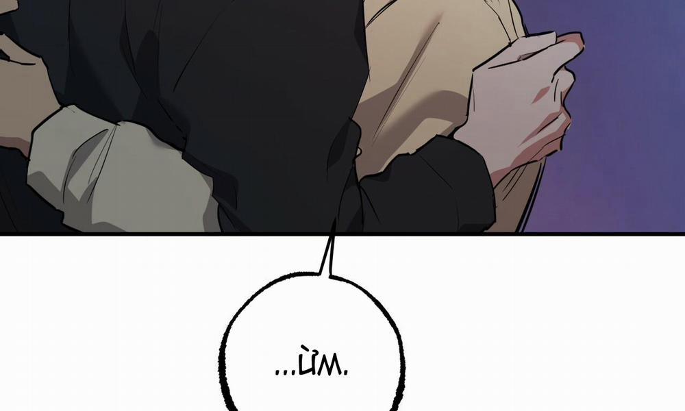 Đàn Thỏ Của Habibi 37 trang 251