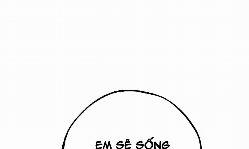 Đàn Thỏ Của Habibi 37 trang 273