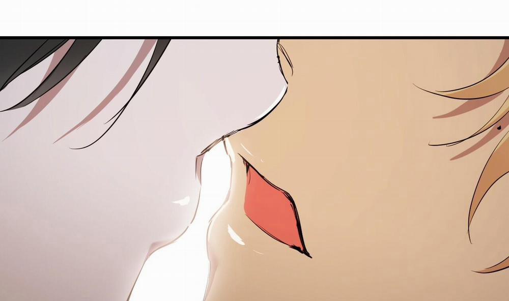 Đàn Thỏ Của Habibi 37 trang 279