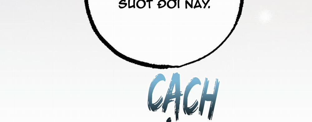 Đàn Thỏ Của Habibi 37 trang 320