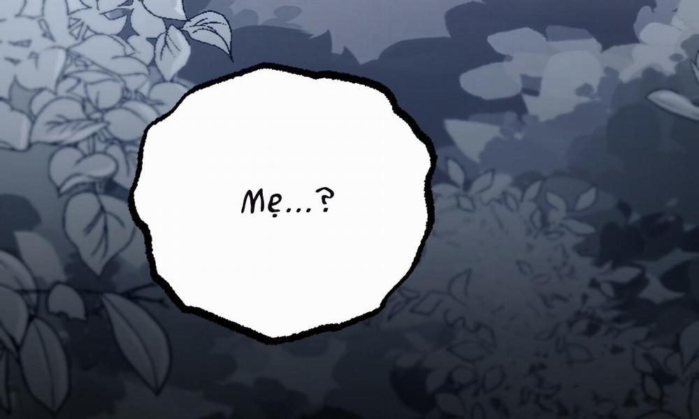 Đàn Thỏ Của Habibi 37 trang 81