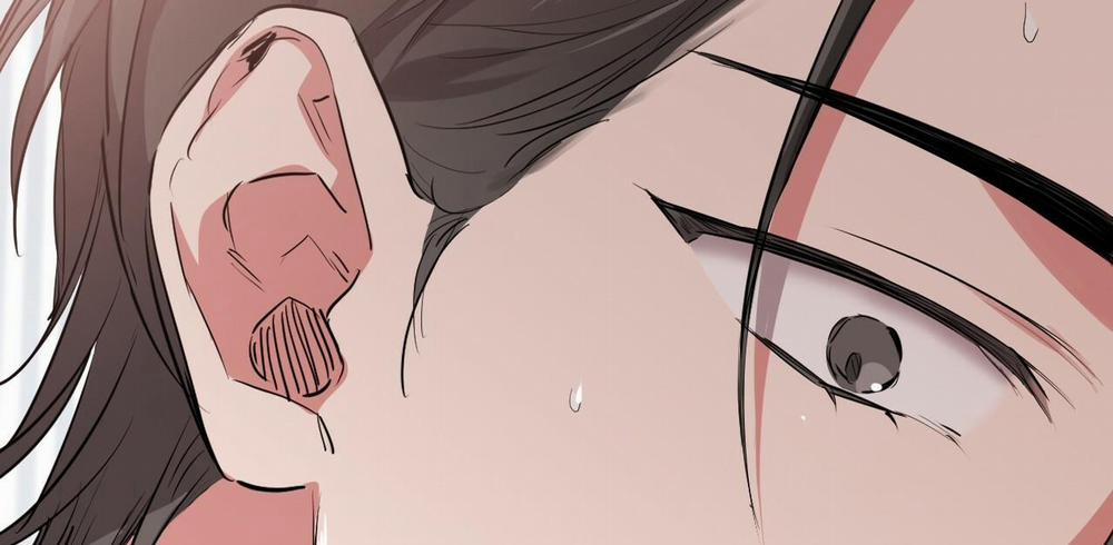 Đàn Thỏ Của Habibi 38 trang 134