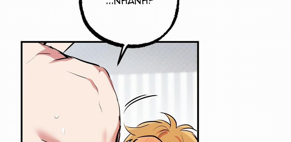 Đàn Thỏ Của Habibi 38 trang 141