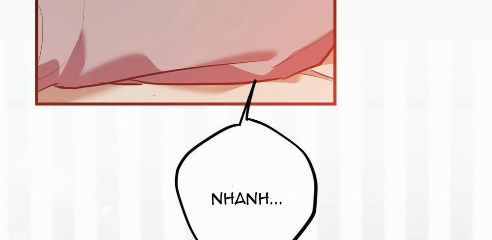 Đàn Thỏ Của Habibi 38 trang 144