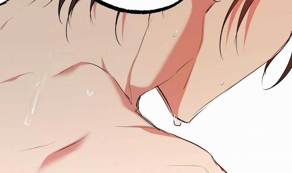 Đàn Thỏ Của Habibi 38 trang 151