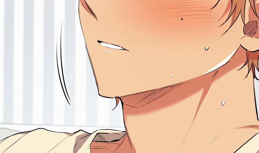 Đàn Thỏ Của Habibi 38 trang 162