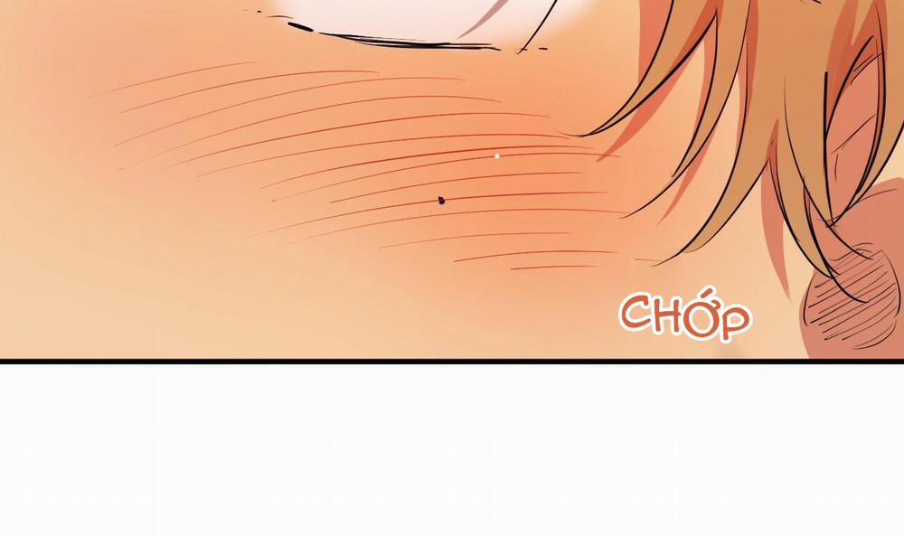 Đàn Thỏ Của Habibi 38 trang 169