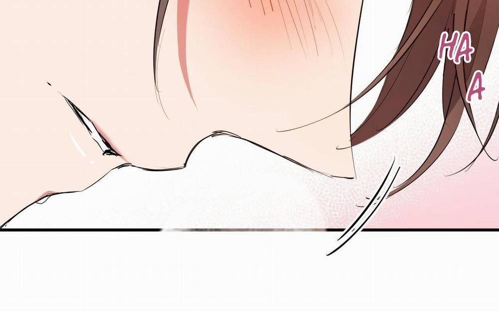 Đàn Thỏ Của Habibi 38 trang 192