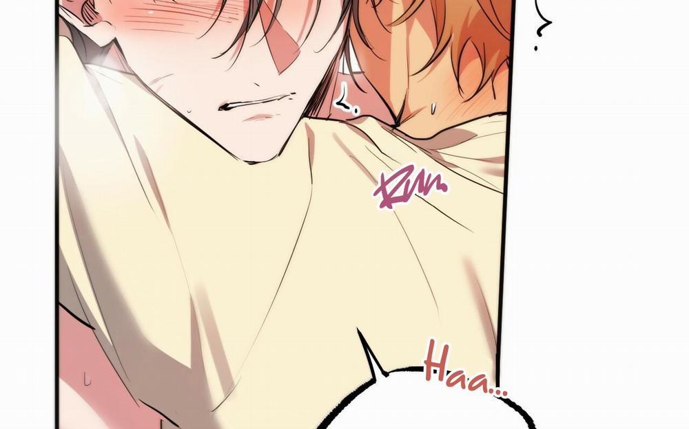 Đàn Thỏ Của Habibi 38 trang 198