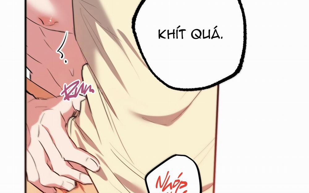 Đàn Thỏ Của Habibi 38 trang 199