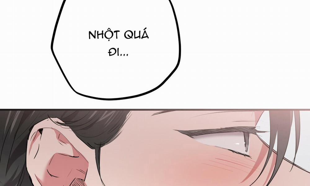 Đàn Thỏ Của Habibi 38 trang 20