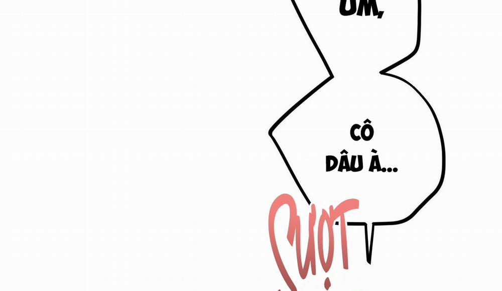 Đàn Thỏ Của Habibi 38 trang 202