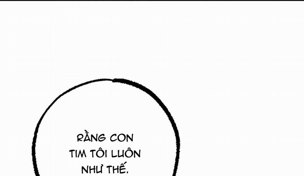 Đàn Thỏ Của Habibi 38 trang 219