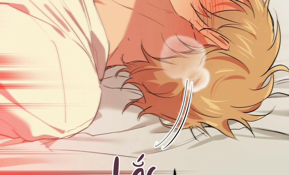 Đàn Thỏ Của Habibi 38 trang 239