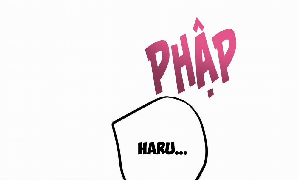 Đàn Thỏ Của Habibi 38 trang 241