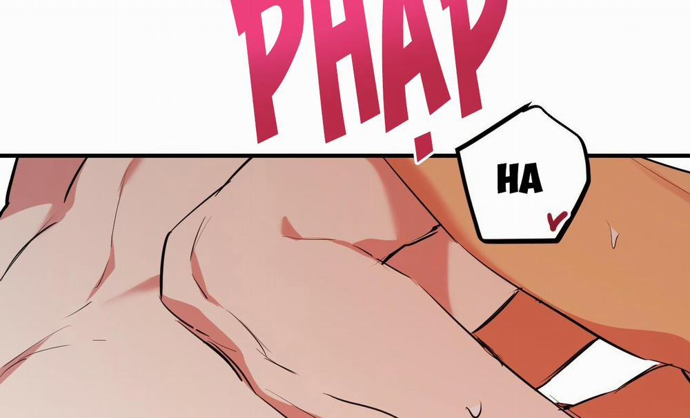 Đàn Thỏ Của Habibi 38 trang 246