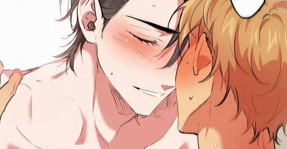 Đàn Thỏ Của Habibi 38 trang 253