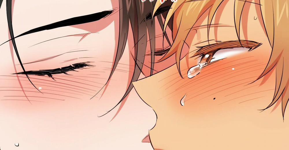 Đàn Thỏ Của Habibi 38 trang 257