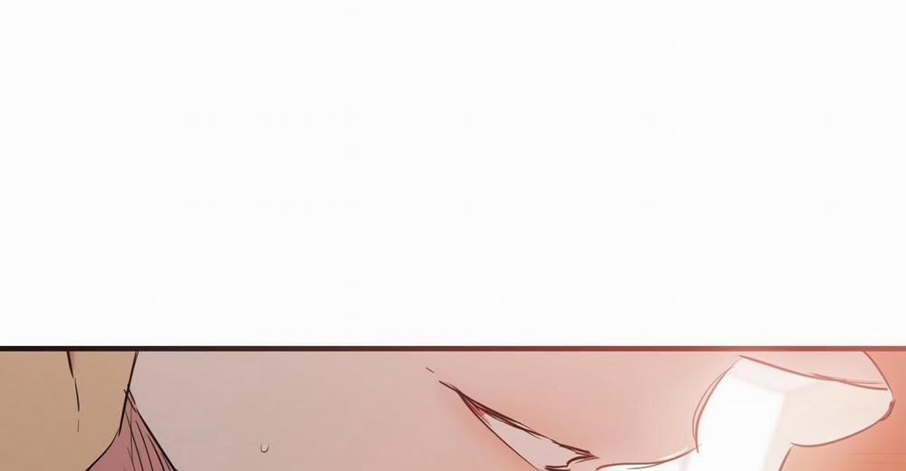 Đàn Thỏ Của Habibi 38 trang 261