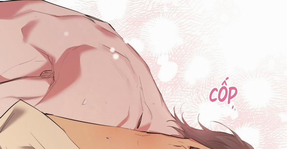 Đàn Thỏ Của Habibi 38 trang 266