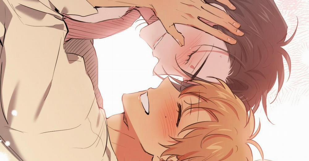 Đàn Thỏ Của Habibi 38 trang 267