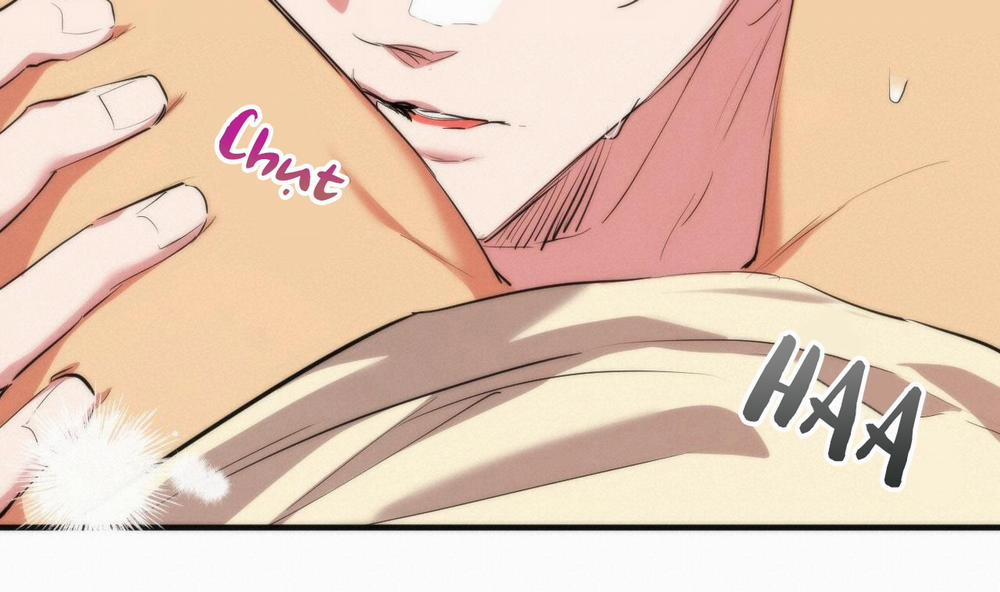 Đàn Thỏ Của Habibi 38 trang 31