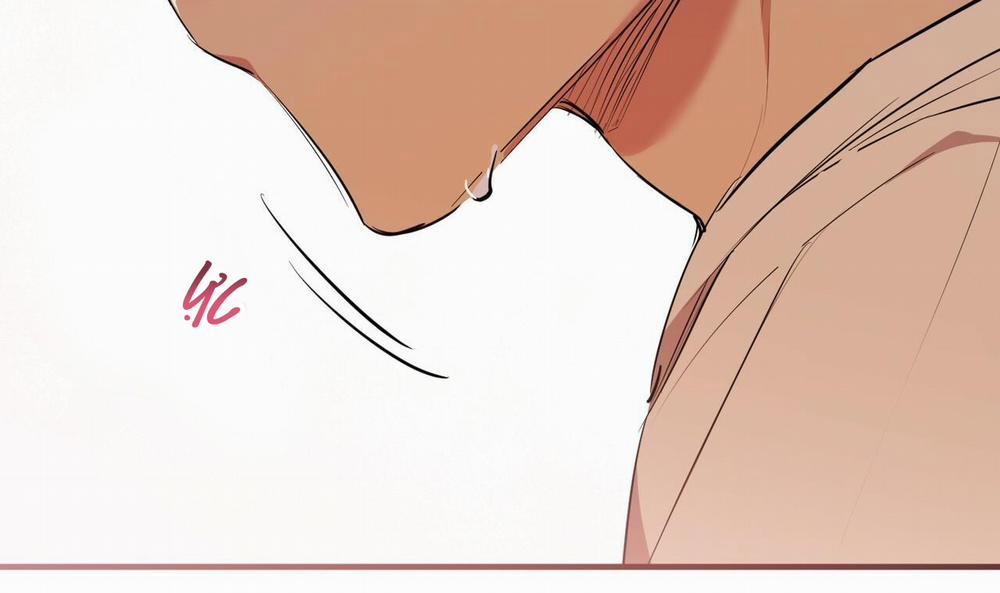 Đàn Thỏ Của Habibi 38 trang 42