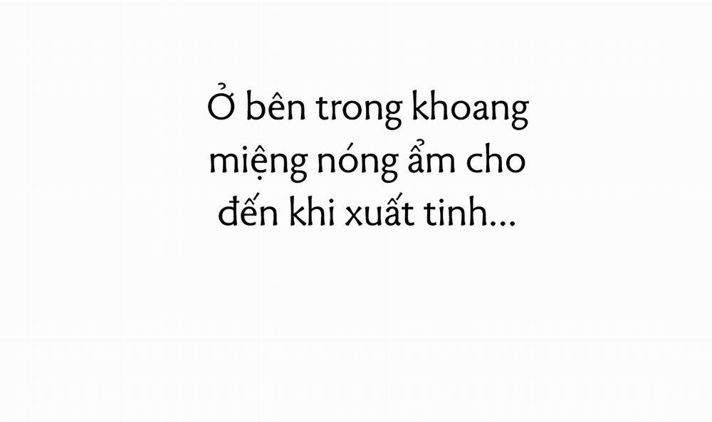 Đàn Thỏ Của Habibi 38 trang 44