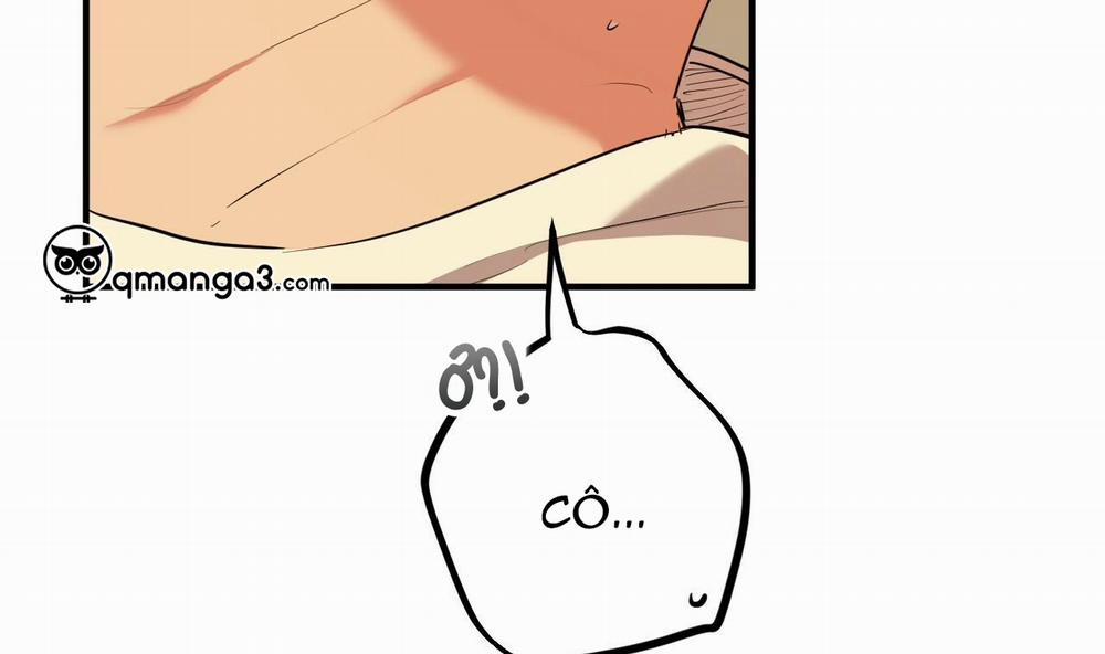 Đàn Thỏ Của Habibi 38 trang 52