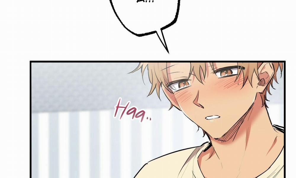 Đàn Thỏ Của Habibi 38 trang 8