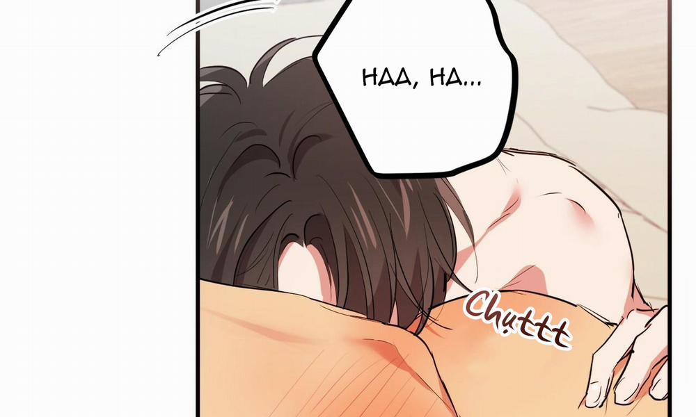 Đàn Thỏ Của Habibi 38 trang 92