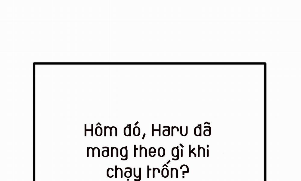 Đàn Thỏ Của Habibi 39 trang 1