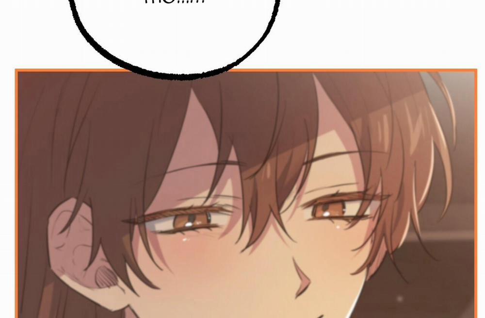 Đàn Thỏ Của Habibi 39 trang 136