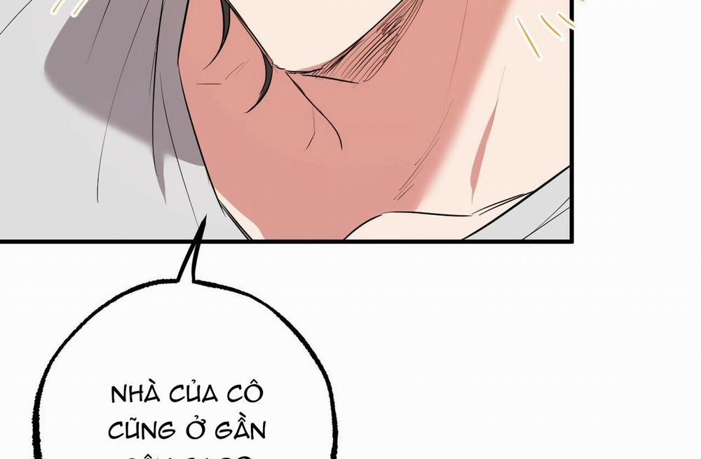 Đàn Thỏ Của Habibi 39 trang 142