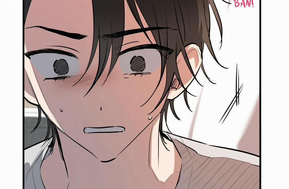 Đàn Thỏ Của Habibi 39 trang 145